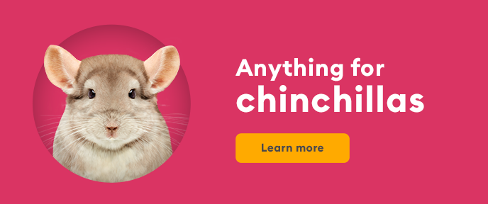 Anything for chinchillas