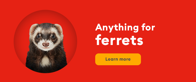 Anything for ferrets