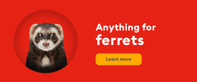 Ferret starter shop kit petsmart