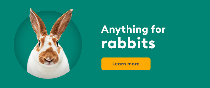 Anything for rabbits