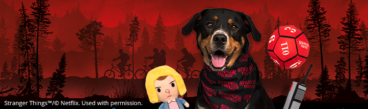 stranger things banner with dog