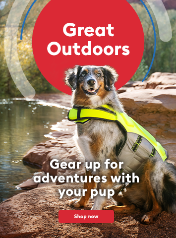 Gear up for adventures with your pup