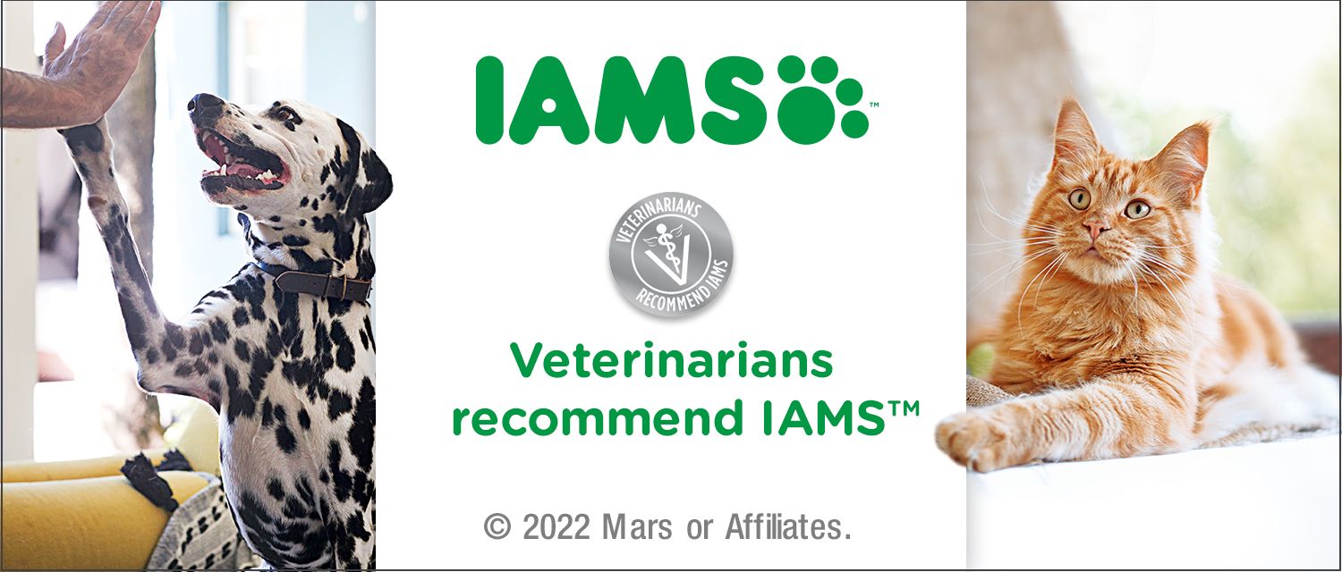 Iams cat food petsmart sale