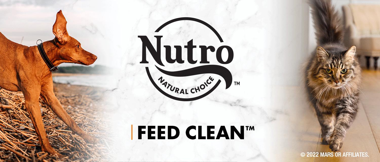 is nutro feed clean good for dogs