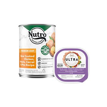 Petsmart nutro clearance senior dog food