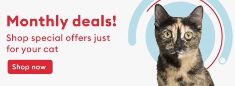 Drontal plus clearance petsmart