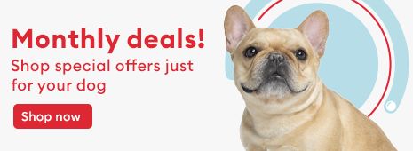 Monthly deals! Shop special offers just for your dog