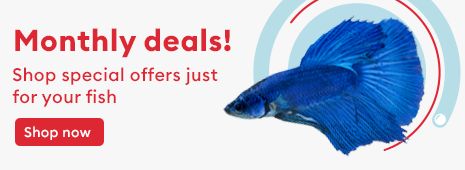 Monthly deals! Shop special offers just for your fish