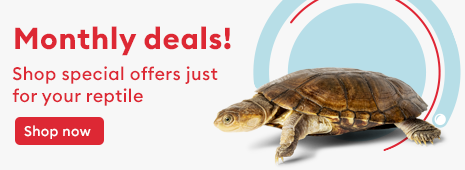 Monthly deals! Shop special offers just for your reptile