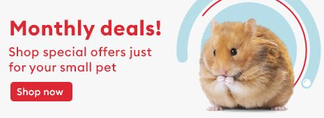 Monthly deals! Shop special offers just for your small pet