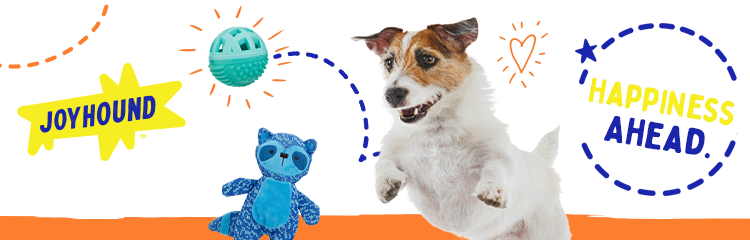 The 27 Best Interactive Dog Toys