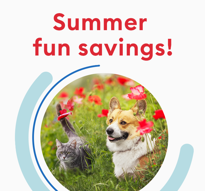 Summer fun savings! Dog and cat in a field of flowers.