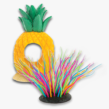 Pineapple and rainbow plant aquatic ornaments.