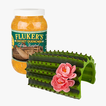 Fluker's® cricket quencher and Thrive cactus terrarium ornament.