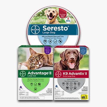 Assortment of dog and cat flea and tick prevention products.