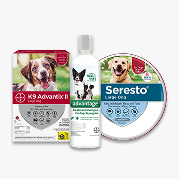 Assortment of dog flea and tick prevention products.