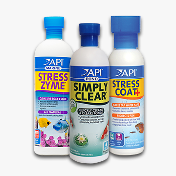 Assortment of API® fresh, marine, and pond water care products.