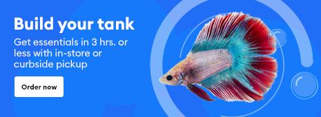 Monthly deals! Shop special offers just for your fish