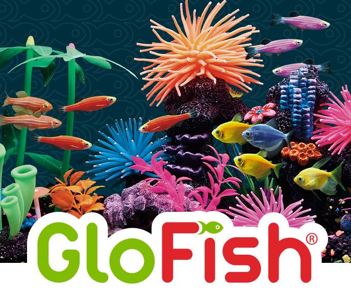 Glofish tank outlet decorations