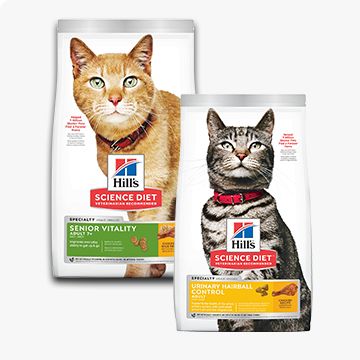 Two bags of Hill's Science Diet cat food.