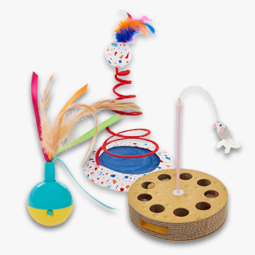 Assortment of exercise and move cat toys