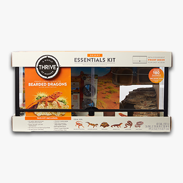 Reptile starter kits