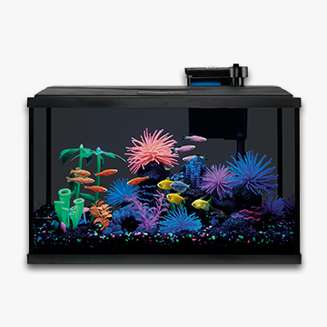 Aquarium starter kits