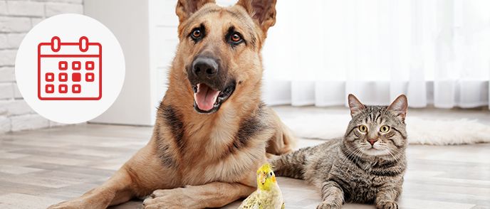 PetSmart - Did you know you can receive a FREE Welcome Home Guide