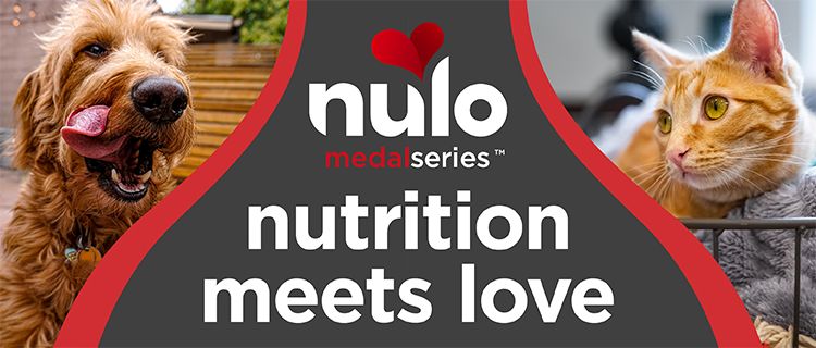 Nulo Nutrition Meets Love Dog Licking Lips with Cat Lying