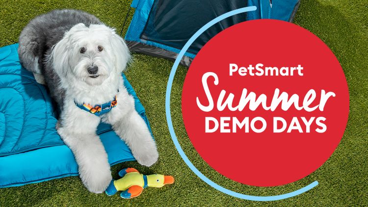 Three-day adoption event at PetSmart locations in San Antonio