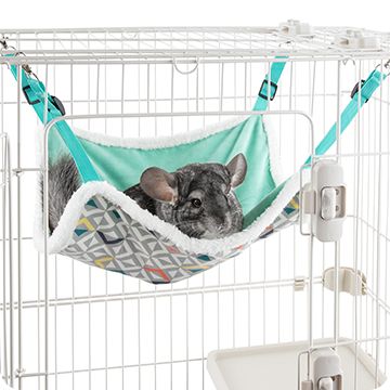 Petsmart cat outlet hammock