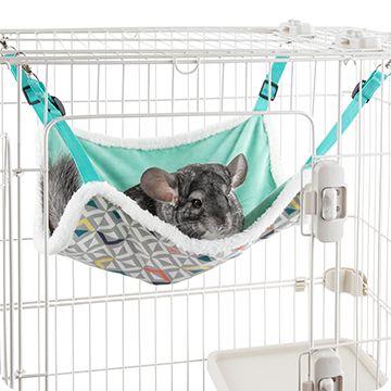 A chinchilla lounging in a teal hammock hanging in a habitat