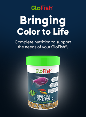 Bringing Color to Life, Complete nutrition to support the needs of your GloFish®