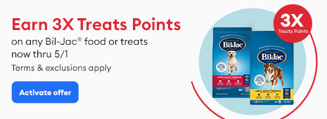 Prevent & treat unwanted guests! Shop flea & tick