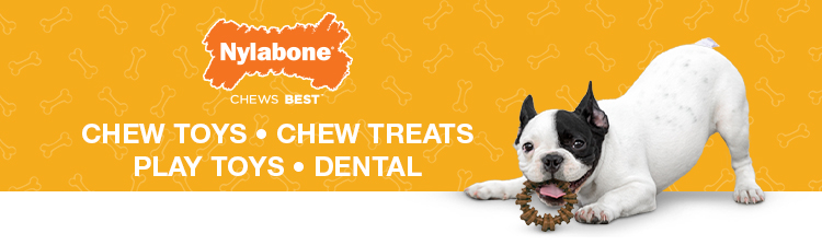 Nylabone banner featuring dog and a Nylabone chew toy