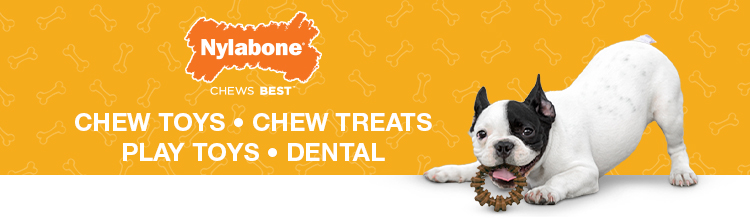 Nylabone Dura Chew Dog Bone - Peanut Butter Flavor (Regular)