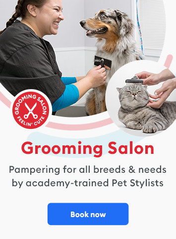 Pampering for all breeds & needs by academy-trained Pet Stylists at our Grooming Salon