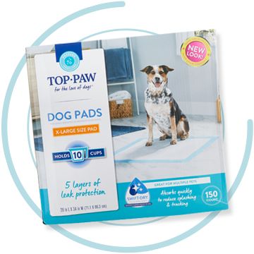 Petsmart on sale puppy supplies