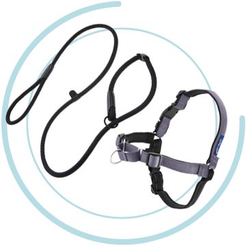 Petsmart hotsell training leash