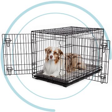 Dog Training Toy/Dog Training Aid, Dog Crate Toy Training Tool for