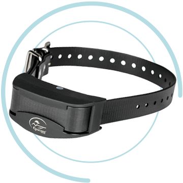 Bite free hot sale collar petsmart