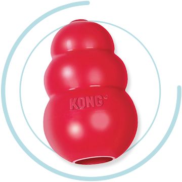 Kong best sale wobbler petsmart