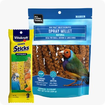 Bird Supplies for Pet Parakeets Parrots More PetSmart