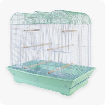Bird Supplies For Pet Parakeets