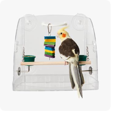 Bird Supplies for Pet Parakeets, Parrots & More