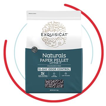 Exquisite cat litter paper hotsell