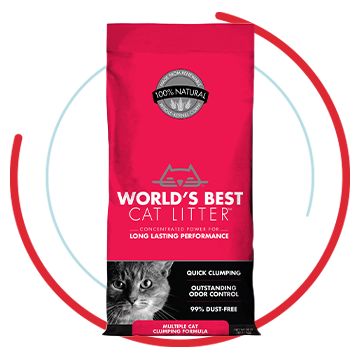 Clay cat 2024 litter brands