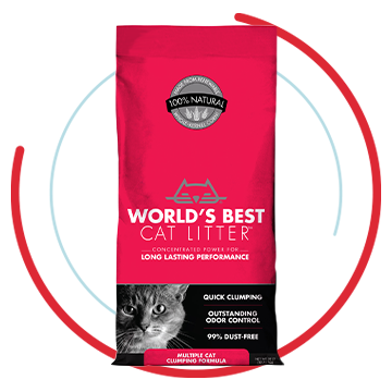 is fresh step cat litter toxic to dogs