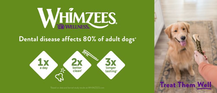 Whimzees by Wellness. Treat Them Well. Dental Disease Affects 80% of adult dogs. Dog Being Offered Whimzees Treat.
