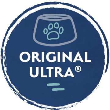 Natural balance cat outlet food canada